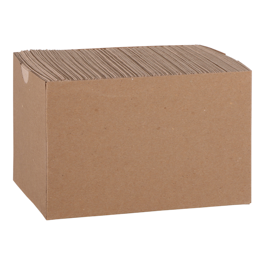 2ply BEVERAGE NAPKIN, NATURAL, EARTH WISE, 3000/ct. 
