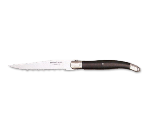 Steak Knife, 9-1/8&quot;, pointed-tip, ABS plastic