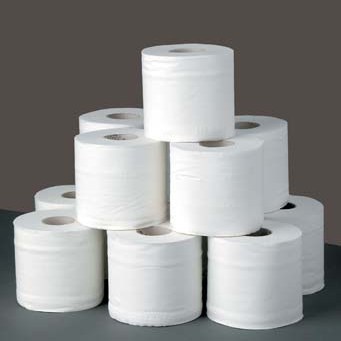2-PLY TOILET PAPER, 3.9x3.1,  INDIVIDUALLY WRAPPED ROLLS, 