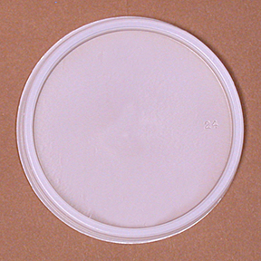 VENTED PLASTIC LID FOR F/6FC, 10/100ct